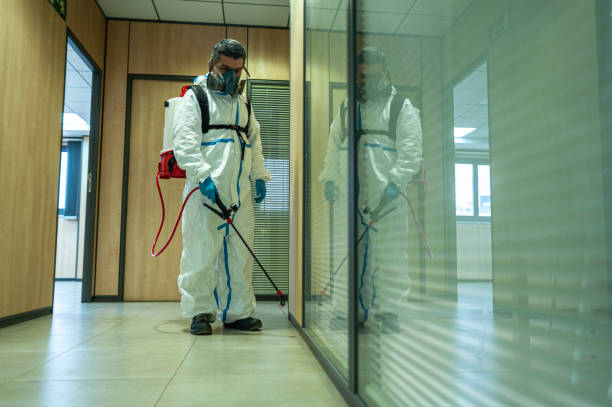 Best Commercial Pest Control  in Pico Rivera, CA